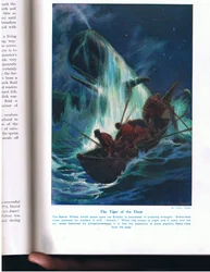 Der Tiger der Tiefe, Illustration aus 